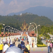 Royal Flora Ratchaphruek 2006